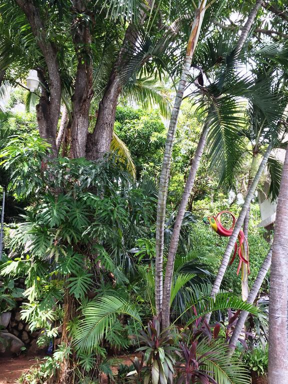 Villa Costa Chica Comodisimo piscina gigante jardines Acapulco Esterno foto